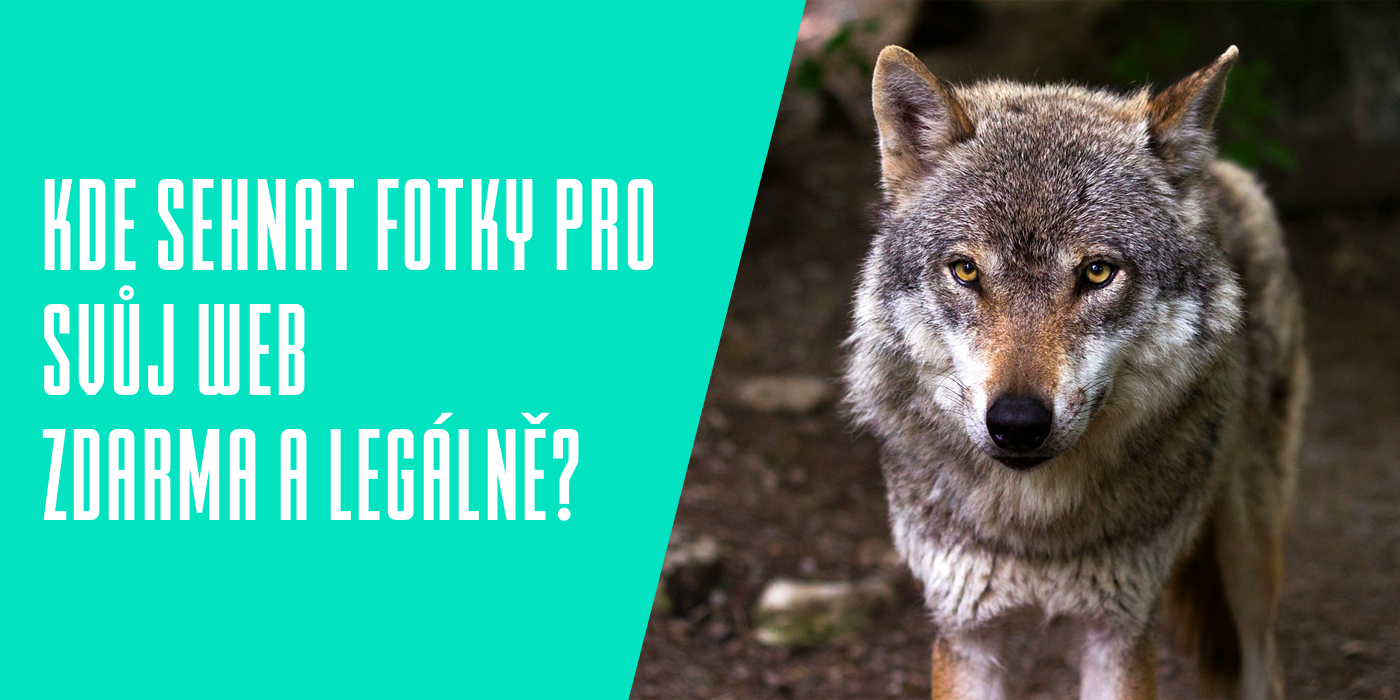 Kde legálně stahovat obrázky?