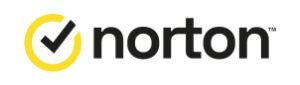 Norton Antivir Logo